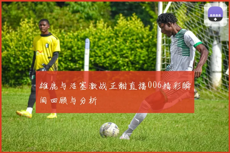雄鹿与活塞激战正酣直播006精彩瞬间回顾与分析